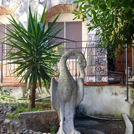 Villa Merina Vieste Esterno foto