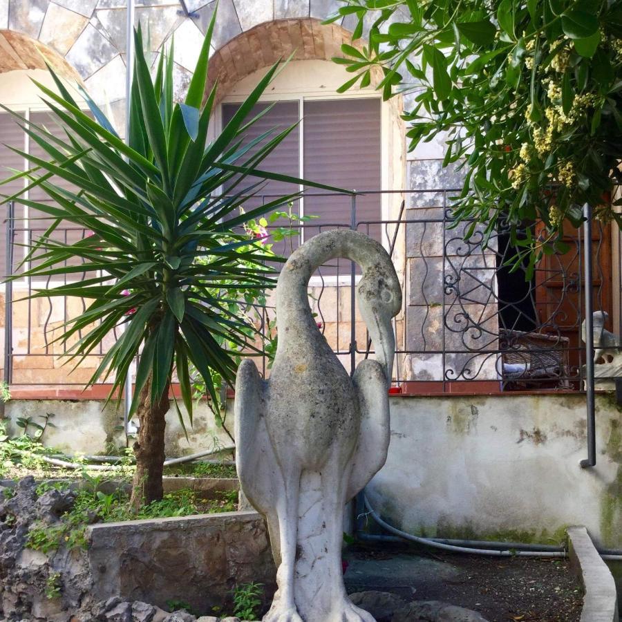 Villa Merina Vieste Esterno foto